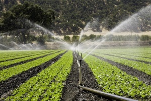 Iranian[ University of Tehran ] researchers win international water conservation award